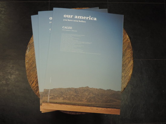 CALEE SUMEER COLLECTION BRAND BOOK.JPG